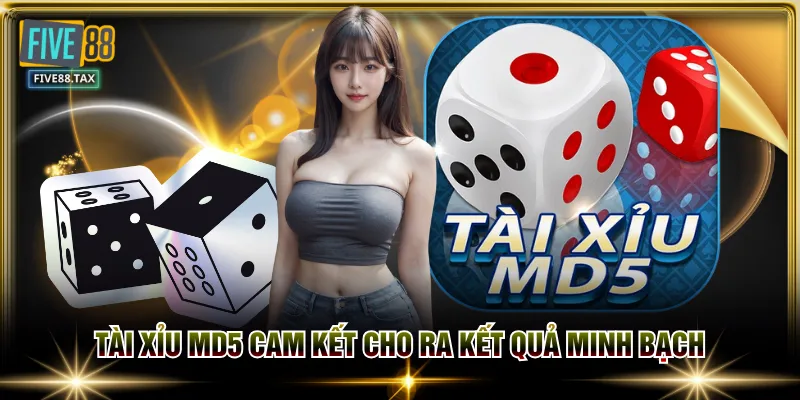 Tài Xỉu MD5 cam kết cho ra kết quả minh bạch